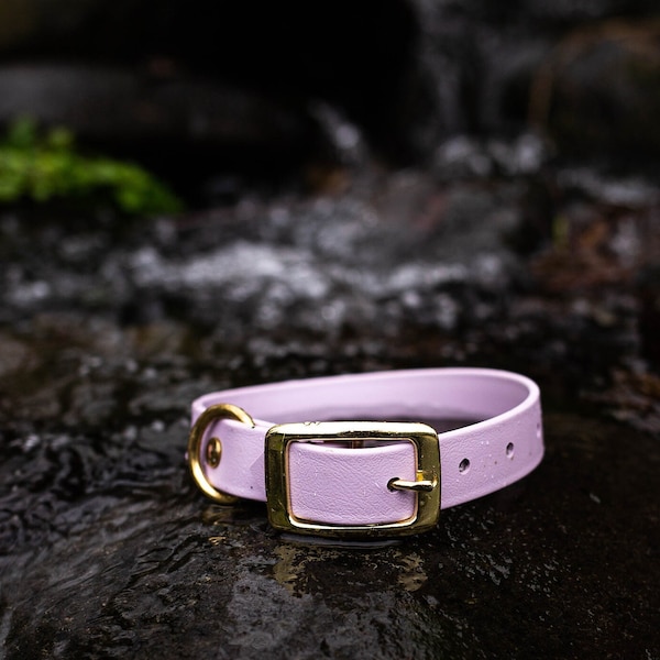 Waterproof Dog Collar in Pastel Purple, Lavender Lilac