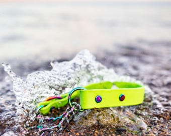 Waterproof Biothane Martingale Dog Collar