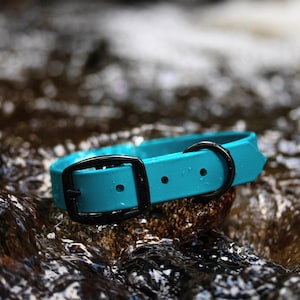 Waterproof Dog Collar in Poseidon Blue