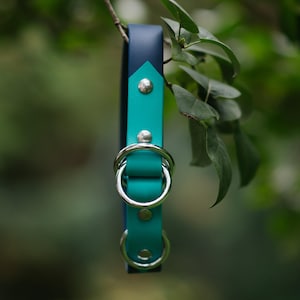 Waterproof Biothane Two Tone Slip Collar image 11