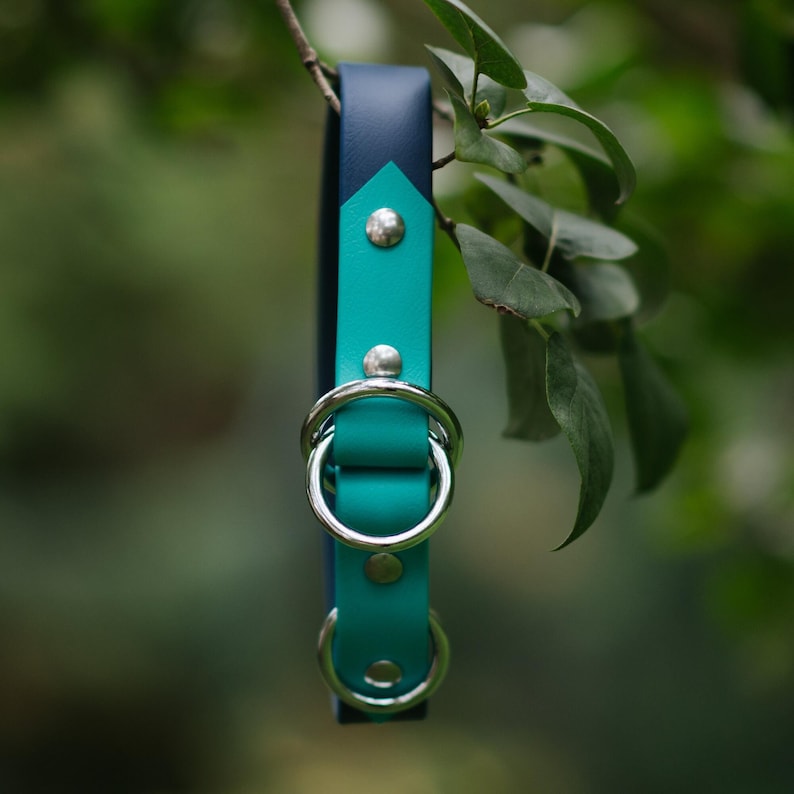 Waterproof Biothane Two Tone Slip Collar image 11