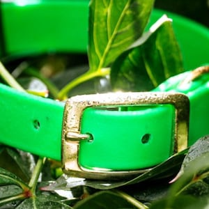 Waterproof Biothane Dog Collar in Neon Green Clover