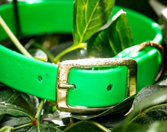 Waterproof Dog Collar in Neon Green Clover