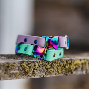 May include: Two dog collars, one light green and one light purple, with iridescent metal buckles. The collars are stacked on top of each other on a wooden surface.