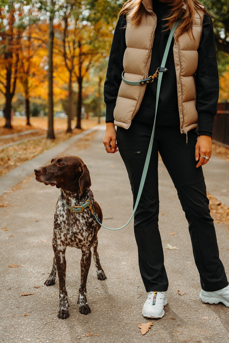 Hands Free Waterproof Leash Any Colour image 6