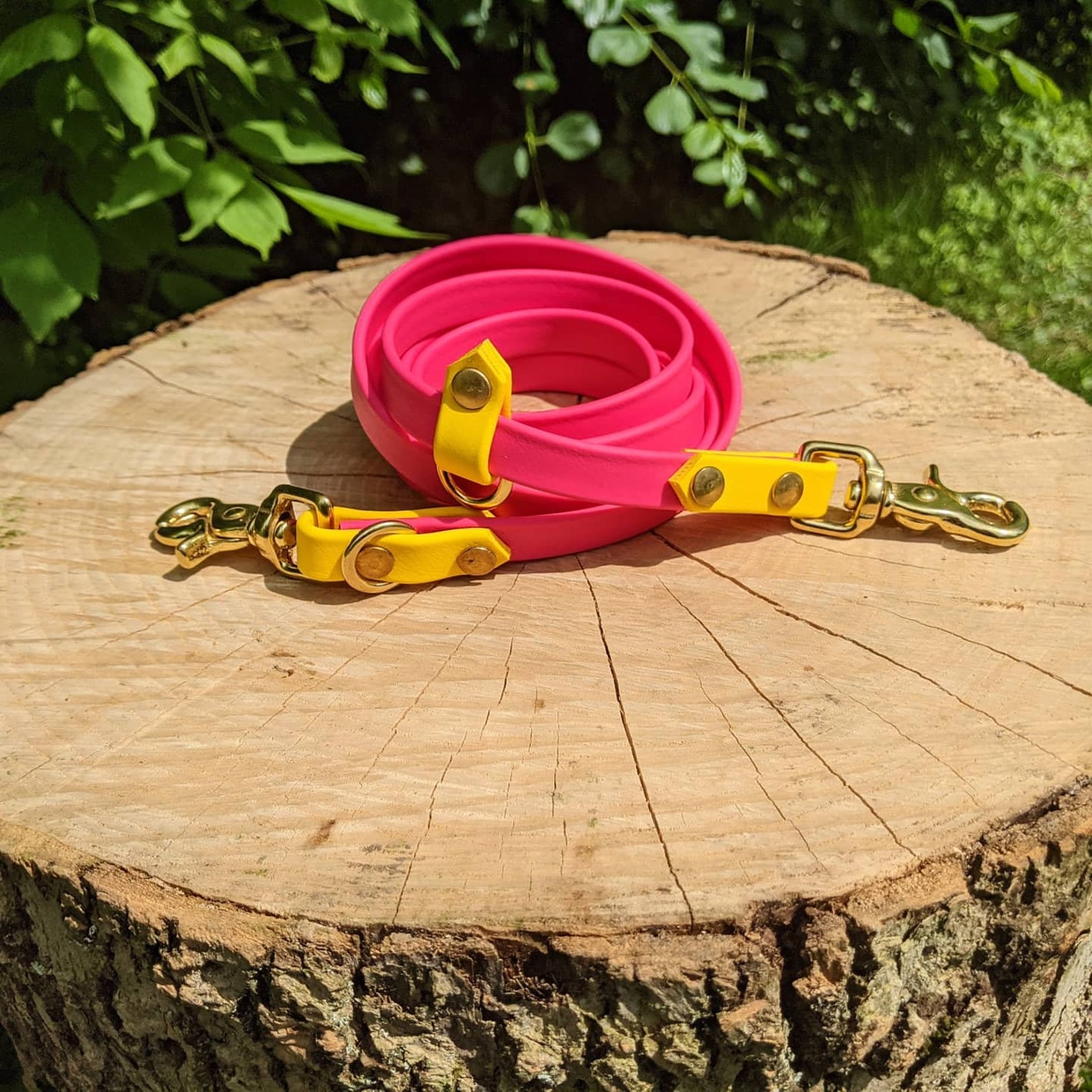 Hands Free Waterproof Leash Any Colour Etsy
