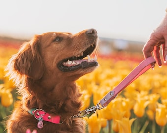 Two Tone Traffic Leash