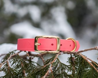Waterproof Biothane Dog Collar in Coral Sunset Pink