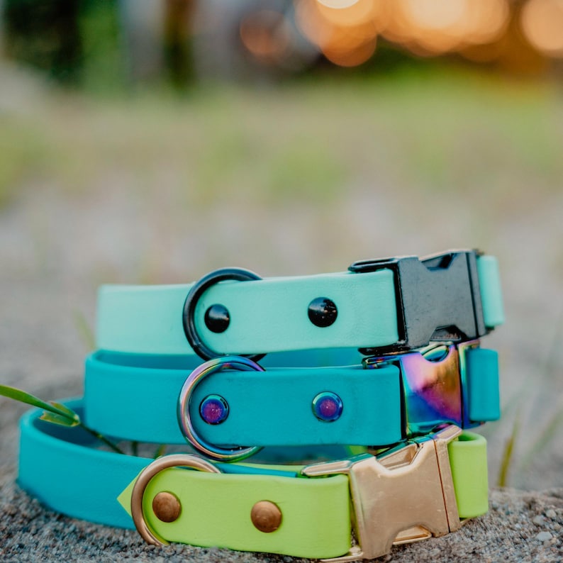 Waterproof Biothane Two Tone Quick Release Buckle Dog Collar image 10