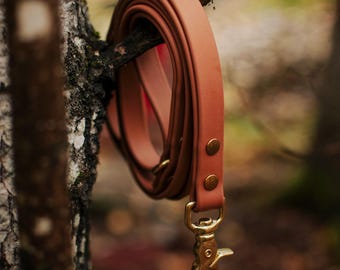 Waterproof Biothane Classic Dog Leash