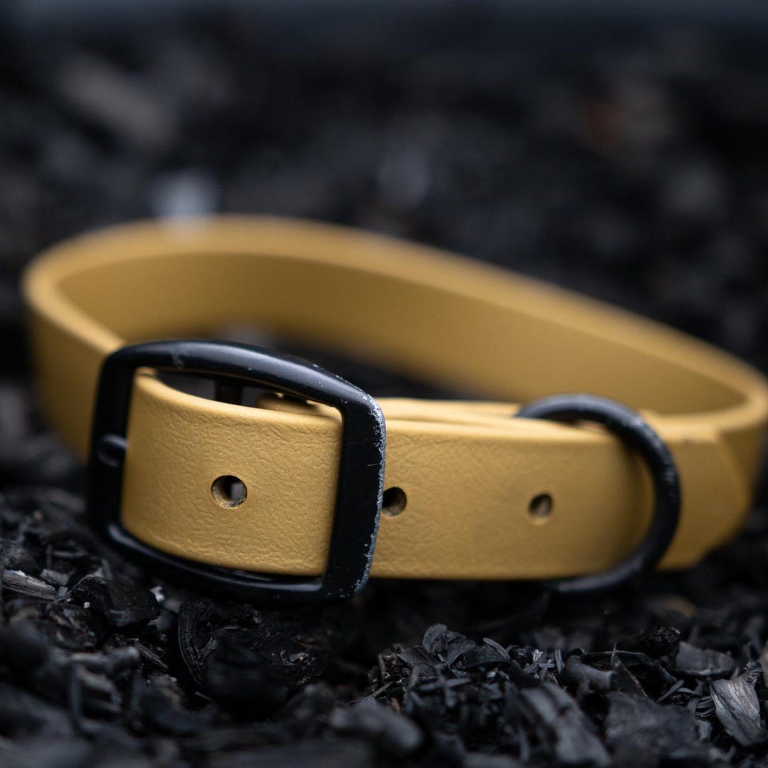 Biothane Gold Waterproof Biothane Dog Collar in Yukon Gold - Etsy