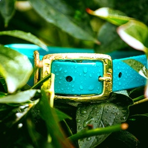 Waterproof Dog Collar in Teal Blue Surf