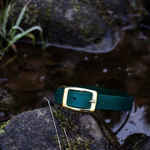 Waterproof Dog Collar in Hunter Green