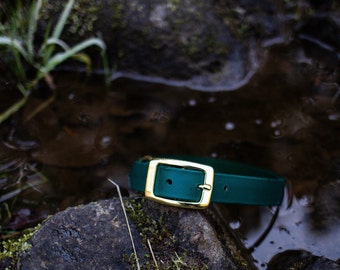 Waterproof Dog Collar in Hunter Green