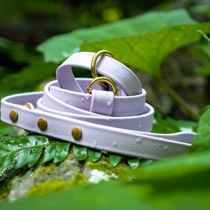 Waterproof Biothane Slip Leash