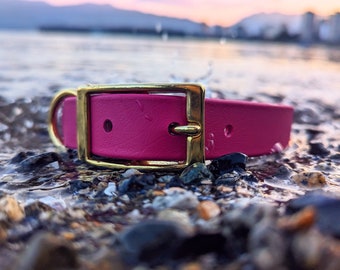 Waterproof Dog Collar in Berry Purple