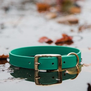 Waterproof Biothane Dog Collar in Jade Green