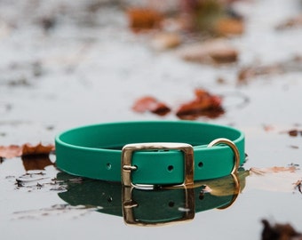 Waterproof Dog Collar in Jade Green