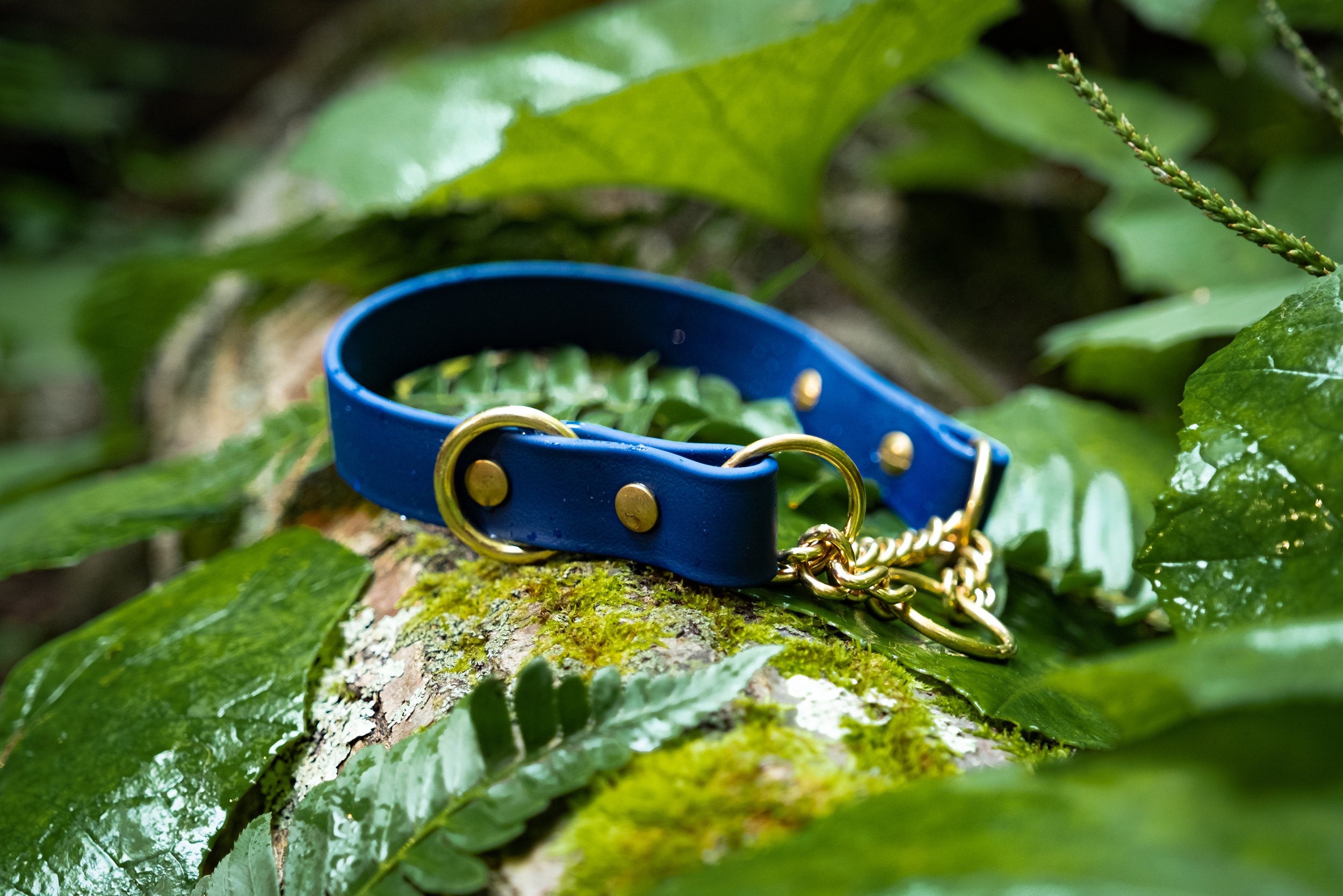 waterproof martingale collar