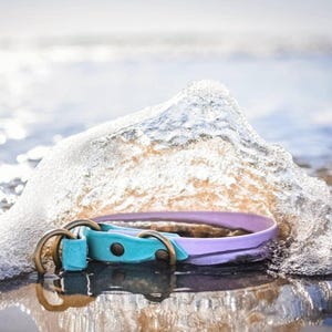 Waterproof Biothane Two Tone Slip Collar image 7