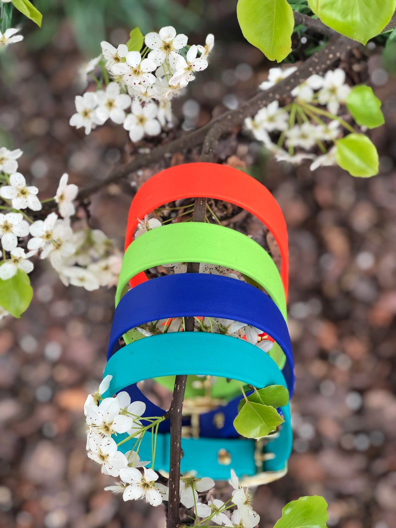 Waterproof Dog Collar in Teal Blue Surf Etsy Canada