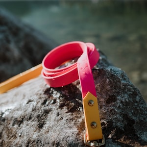 Waterproof Biothane Two Tone Dog Leash