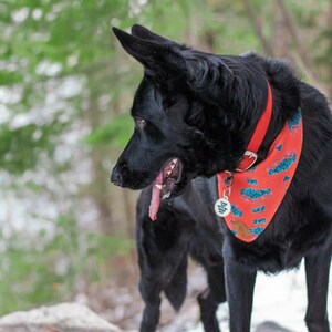 Waterproof Dog Collar in Cherry Red image 7