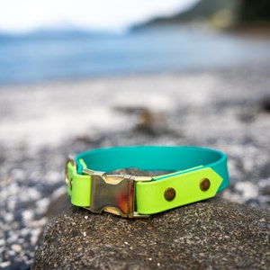 Waterproof Two Tone Quick Release Buckle Collar - Any Colour