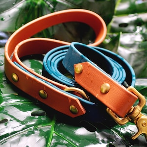 Waterproof Two Tone Dog Leash