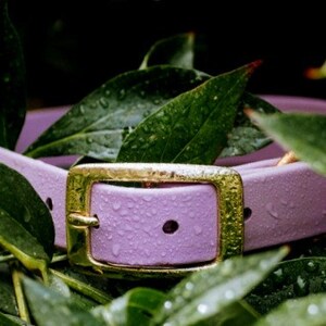 Waterproof Dog Collar in Pastel Purple, Lavender Lilac image 9