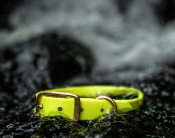 Waterproof Dog Collar in Neon Yellow Firefly