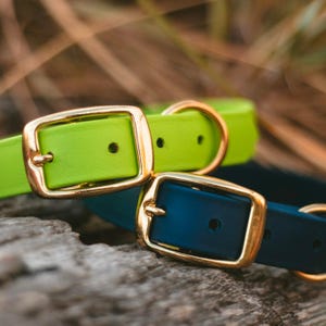 Two Classic Buckle Collars Package - Etsy
