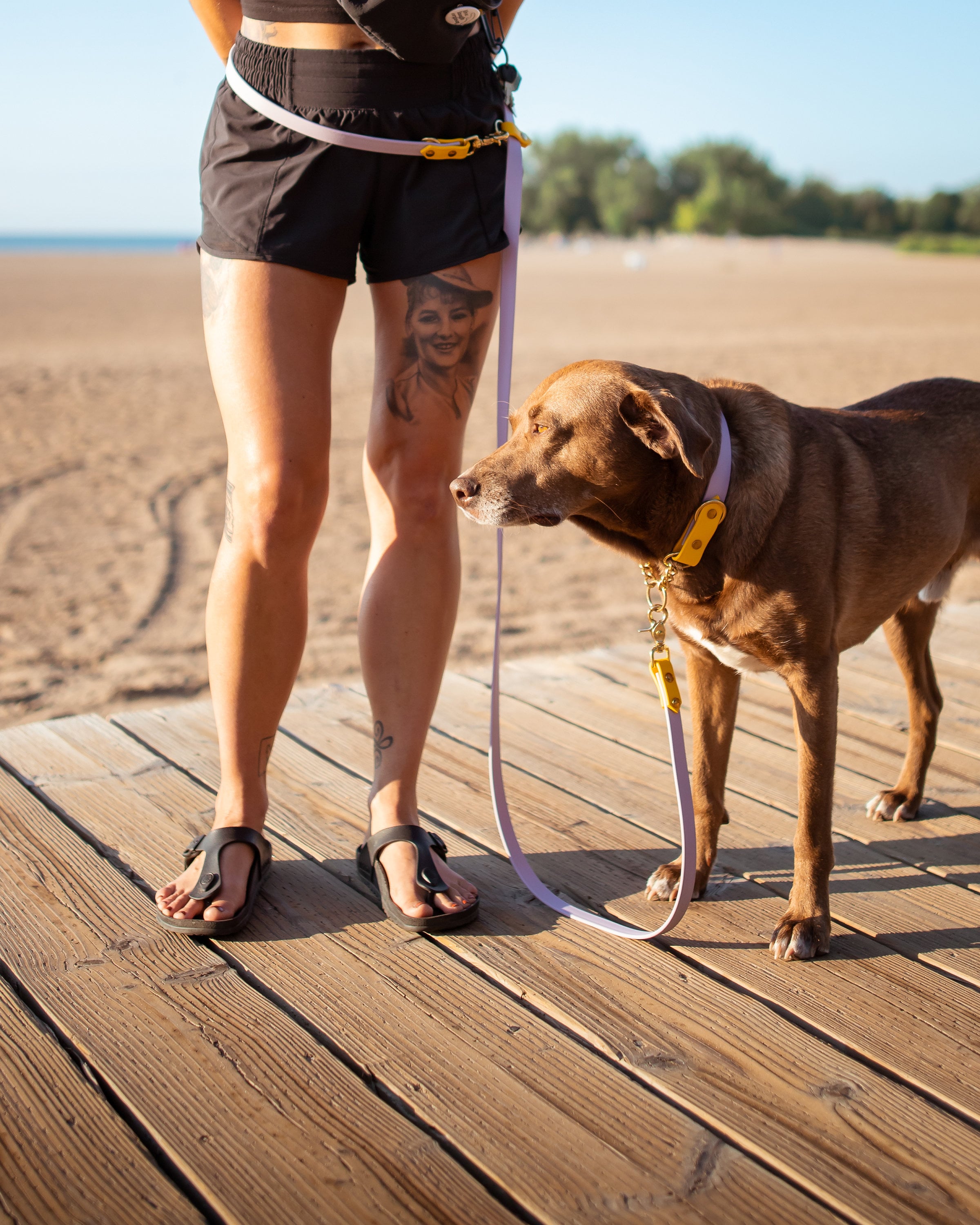 Hands Free Waterproof Leash Any Colour Etsy Canada