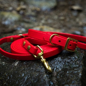 Waterproof Collar Leash Package Deal Bild 9