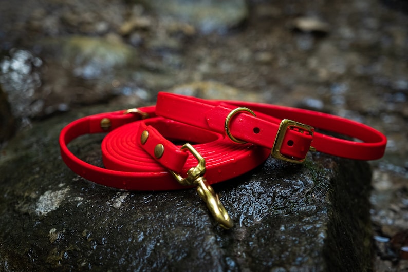 Waterproof Collar Leash Package Deal Etsy