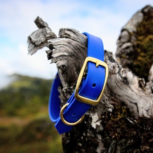 Waterproof Biothane Dog Collar in Cobalt Blue