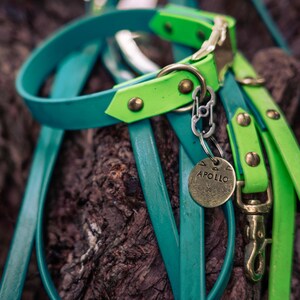 Waterproof Biothane Two Tone Quick Release Buckle Dog Collar image 8