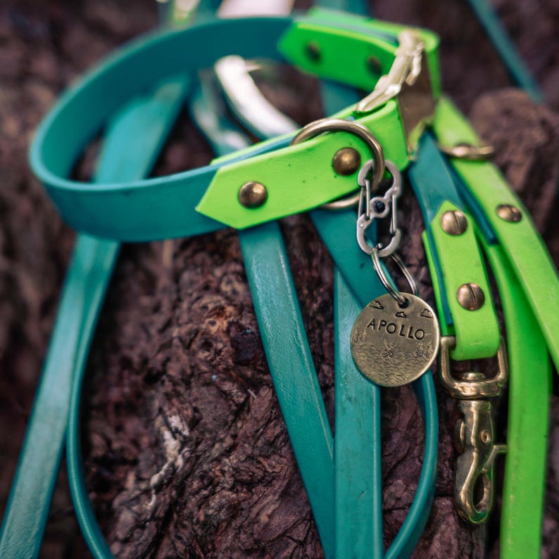 Waterproof Biothane Two Tone Quick Release Buckle Dog Collar image 8