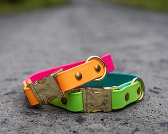 Waterproof Biothane Two Tone Quick Release Buckle Dog Collar