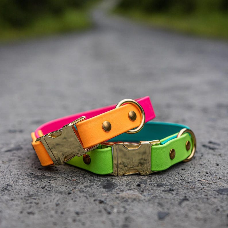 Waterproof Biothane Two Tone Quick Release Buckle Dog Collar image 1