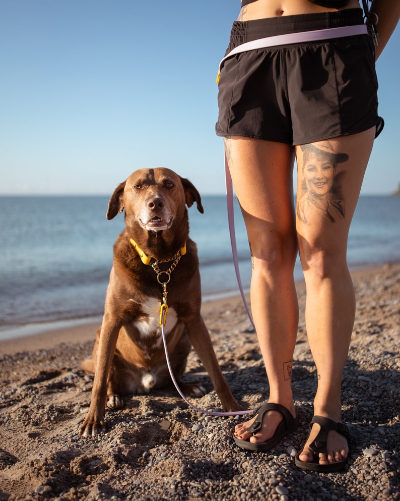 Hands Free Waterproof Leash Any Colour Etsy Canada