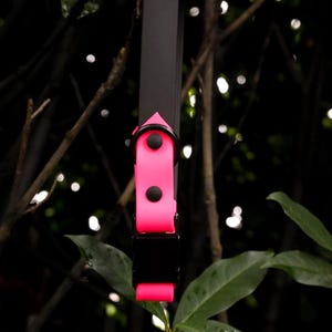Waterproof Biothane Two Tone Quick Release Buckle Dog Collar image 9