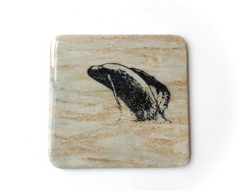 Natural Stone Coaster | Humpback Whale