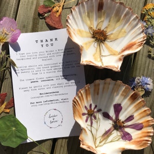 Pressed flower scallop shell ring dish