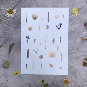 Beachcombed pressed seaweed, sea glass and seashell giclée print