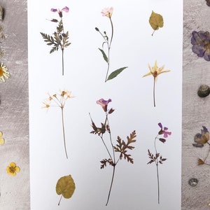 Pressed wildflower giclée print of spring flowers, representing Maia, Roman goddess of fertility and Greek goddess of spring