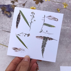 May include: A white card with pressed botanicals, including feathers, ferns, and small white flowers.