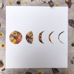 LUNA ~ moon phase pressed wildflower giclée print