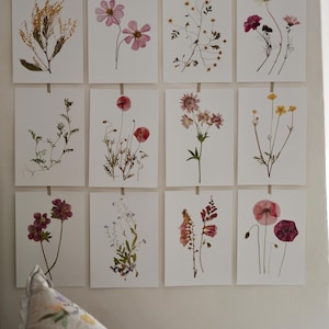 Herbarium print set of 12 pressed flowers