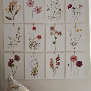May include: A collection of twelve rectangular white prints featuring pressed botanical specimens, including various wildflowers, poppies, and foliage. Each print is individually suspended by a small piece of tape, arranged in a grid of three rows.